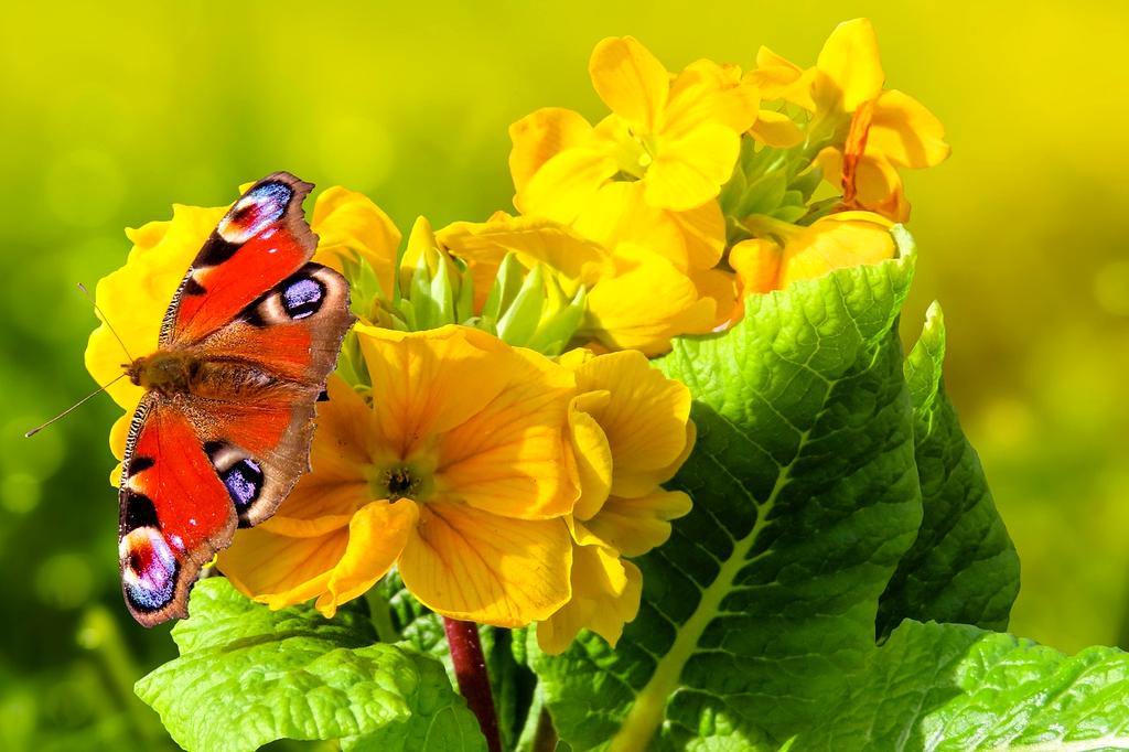 Close-up of neural interface sensors on futuristic mobile device